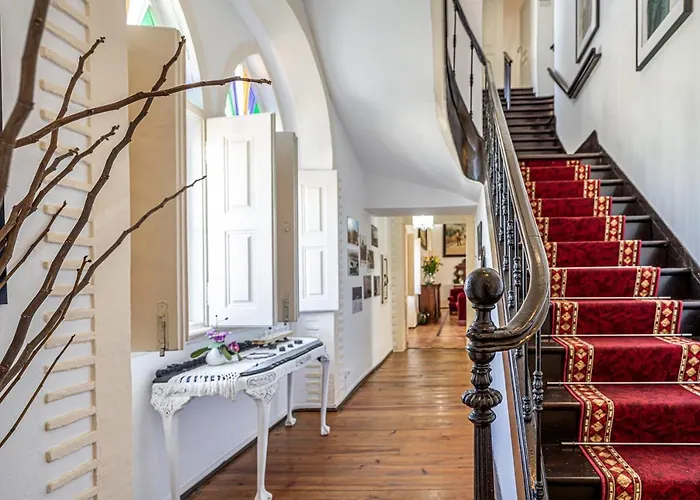 Dona Amelia بيت شباب