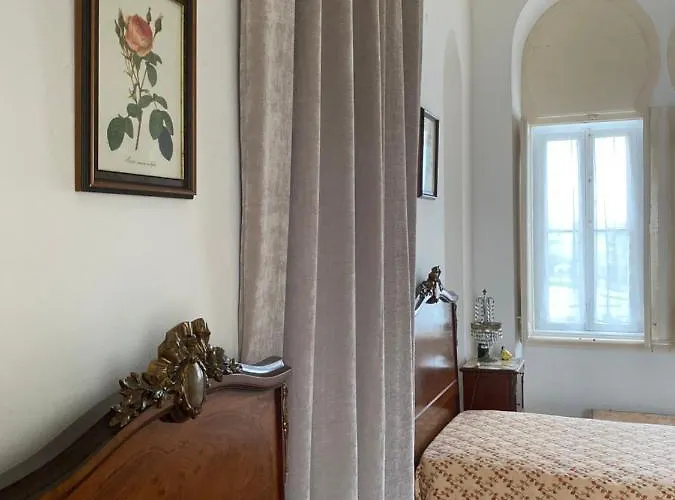 Dona Amelia آبرانتس